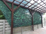 Kurtyna ogrodowa z grafiką żywopłotu hedge o wymiarach 2,00x1,99 m, zamontowana na drewnianej pergoli.