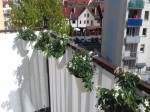 Biała mata balkonowa wykonana z technorattanu zamontowana na poręczy balkonu z kwiatami w doniczkach.